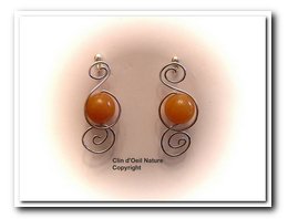 Boucles d'oreilles
